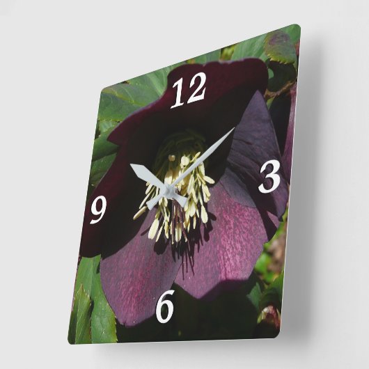 Paarse Lenten Roos Sneller Vierkante Klok (Hoek)