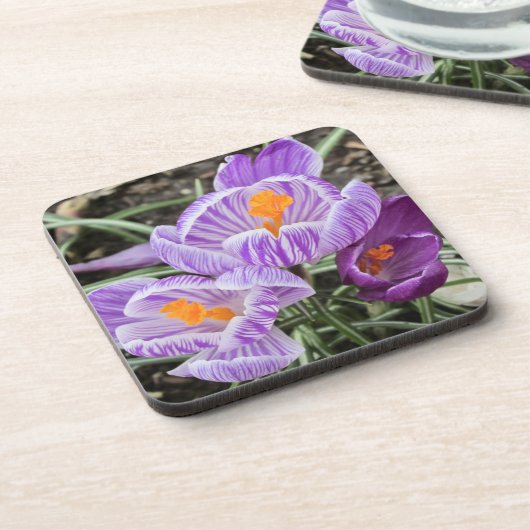 Paarse lentescrocussen. bier onderzetter (Linkerzijde)