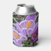 Paarse lentescrocussen. blikjeskoeler (Blikje Voorkant)