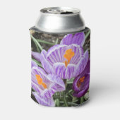 Paarse lentescrocussen. blikjeskoeler (Blikje Achterkant)