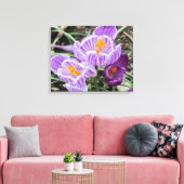 Paarse lentescrocussen. canvas afdruk (Insitu (Woonkamer))