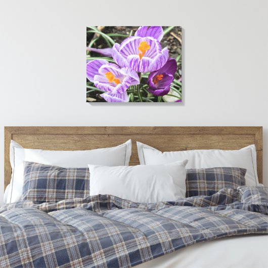 Paarse lentescrocussen. canvas afdruk (Insitu (Slaapkamer))