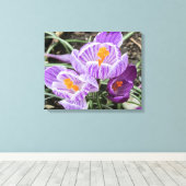 Paarse lentescrocussen. canvas afdruk (Insitu (Houten vloer))