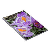 Paarse lentescrocussen. notitieboek (Rechterzijde)