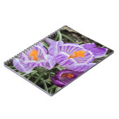 Paarse lentescrocussen. notitieboek (Linkerzijde)