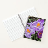 Paarse lentescrocussen. notitieboek (Binnen)