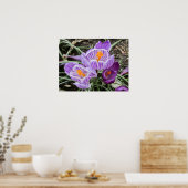 Paarse lentescrocussen. poster (Keuken)