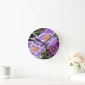 Paarse lentescrocussen. ronde klok (Huis)