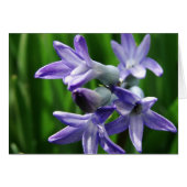 Paarse lentevloeren (Voorkant Horizontaal)