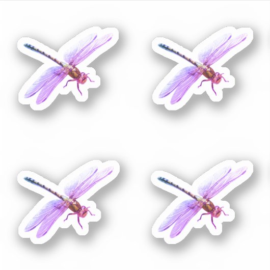 Paarse libellen sticker (Voorkant)