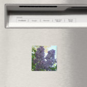 Paarse Lila 8 magneet (Insitu (Vaatwasser))