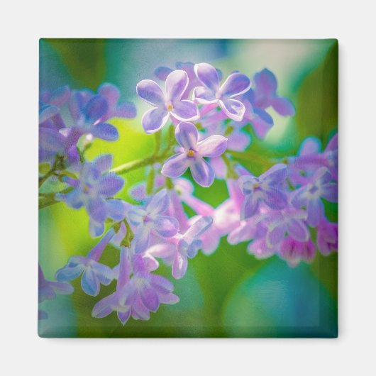 Paarse Lila bloemen Magneet (Voorkant)