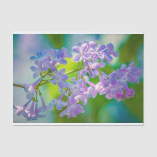 Paarse Lila bloemen Tissuepapier (Voorkant)