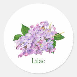 Paarse lila botanische waterverf ronde sticker