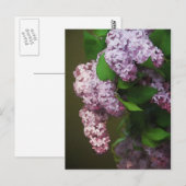 Paarse Lila Bouquet schilderen Briefkaart (Voorkant / Achterkant)