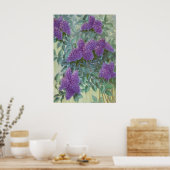 Paarse Lila door Cargill, 1937 Poster (Keuken)