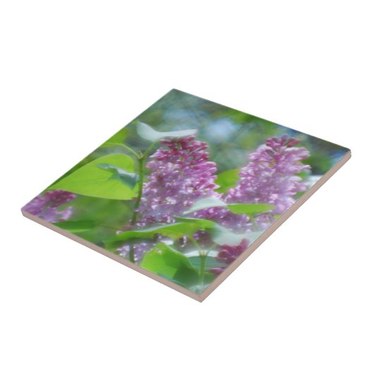 Paarse Lila Flowers Tile Tegeltje (Zijkant)