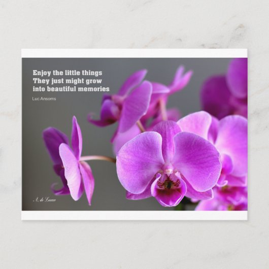 Paarse lila moerasorchid, inspirerend quote briefkaart (Voorkant)