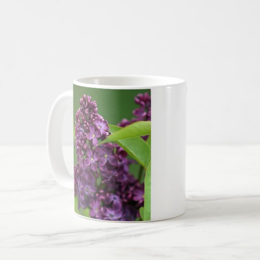 Paarse Lila Mok (Voorkant links)