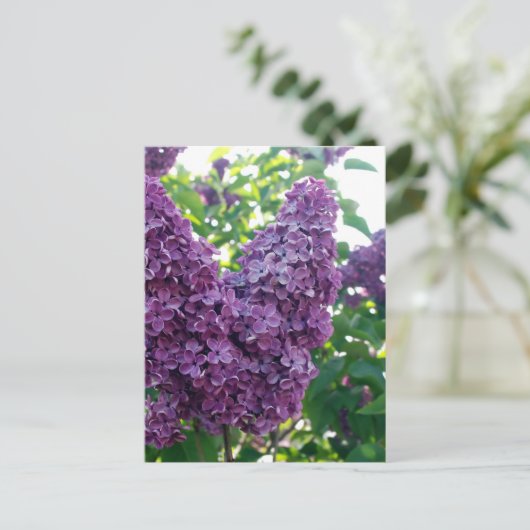  Paarse Lilacs Briefkaart (Staand voorkant)