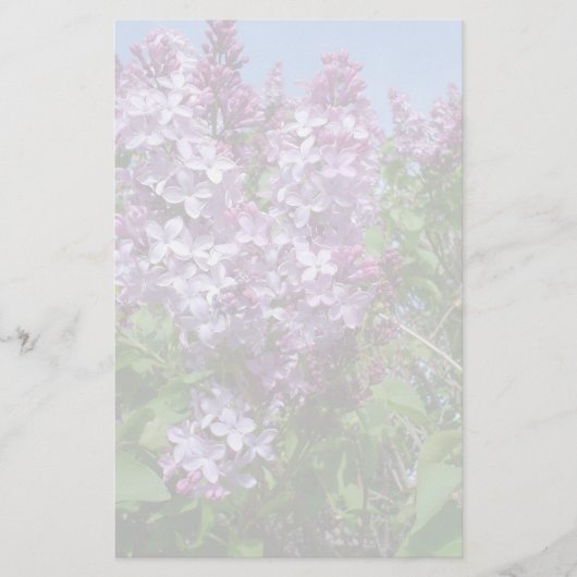 Paarse Lilacs Fade25 Briefpapier (Voorkant)