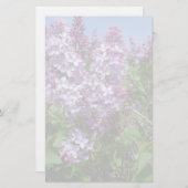 Paarse Lilacs Fade25 Briefpapier (Voorkant / Achterkant)