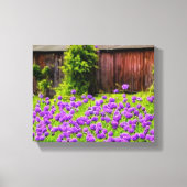 Paarse Lilacs in het land met een  schuur Canvas Afdruk (Voorkant)