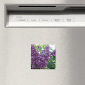 Paarse Lilacs Magnet (Insitu (Vaatwasser))
