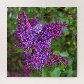 Paarse Lilacs op een lentedag Acrylprint Legpuzzel (Horizontaal)