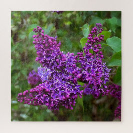 Paarse Lilacs op een lentedag Acrylprint Legpuzzel
