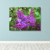 Paarse Lilacs op een lentedag Canvas Afdruk (Insitu (Houten vloer))