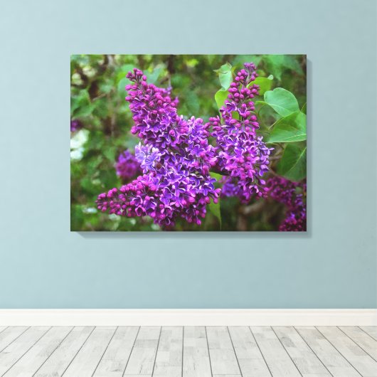 Paarse Lilacs op een lentedag Canvas Afdruk (Insitu (Houten vloer))