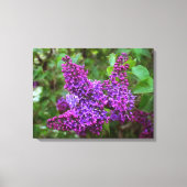 Paarse Lilacs op een lentedag Canvas Afdruk (Voorkant)