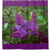 Paarse Lilacs op een lentedag Douchegordijn (Voorkant)
