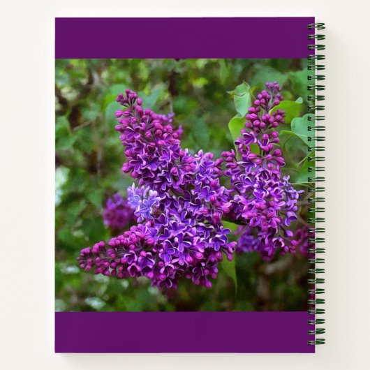 Paarse Lilacs op een lentedag gepersonaliseerd Notitieboek (Achterkant)