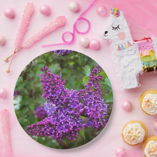Paarse Lilacs op een lentedag Papieren Bordje (Feest)