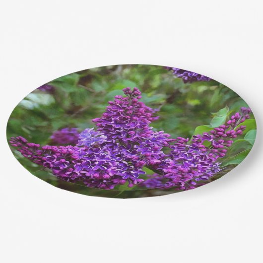 Paarse Lilacs op een lentedag Papieren Bordje (Gekanteld)