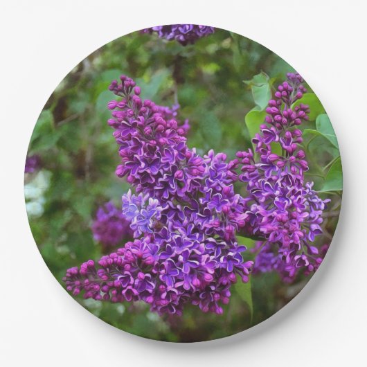 Paarse Lilacs op een lentedag Papieren Bordje (Voorkant)