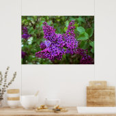 Paarse Lilacs op een lentedag Poster (Keuken)