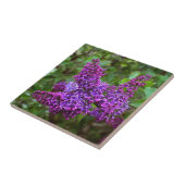 Paarse Lilacs op een lentedag Tegeltje (Zijkant)