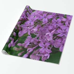 Paarse lilacs romantische elegante paarse foto van cadeaupapier