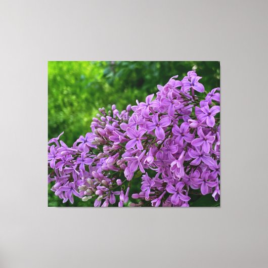 Paarse lilacs romantische elegante paarse foto van canvas afdruk (Voorkant)