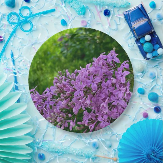 Paarse lilacs romantische elegante paarse foto van papieren bordje (Feest)