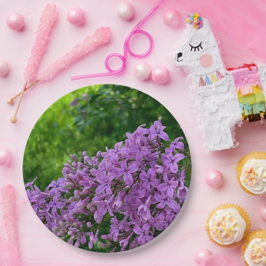 Paarse lilacs romantische elegante paarse foto van papieren bordje (Feest)