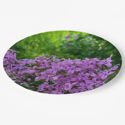 Paarse lilacs romantische elegante paarse foto van papieren bordje (Gekanteld)