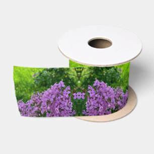 Paarse lilacs romantische elegante paarse foto van satijnen lint