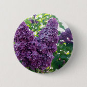 Paarse Lilacs Round Button (Voorkant)