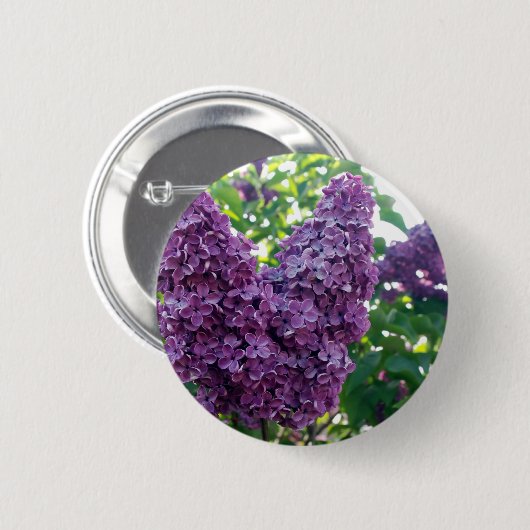 Paarse Lilacs Round Button (Voorkant /achterkant)