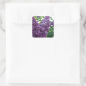  Paarse Lilacs Vierkante Sticker (Tas)