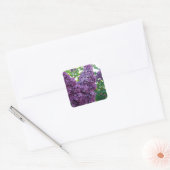  Paarse Lilacs Vierkante Sticker (Envelop)
